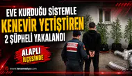EVİNE ÖZEL SİSTEM KURUP KENEVİR YETİŞTİRDİLER