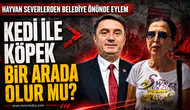 Hayvanseverlerden Zonguldak'ta eylem!