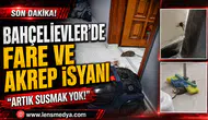 BAHÇELİEVLER’DE FARE VE AKREP İSYANI: “ARTIK SUSMAK YOK!”