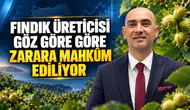 “FINDIK ÜRETİCİSİ GÖZ GÖRE GÖRE ZARARA MAHKÛM EDİLİYOR”