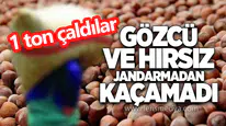 Gözcü ve hırsız jandarmadan kaçamadı