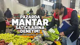 Mantar satıcılarına denetim!