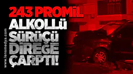 243 Promil Alkollü Sürücü Direğe Çarptı!