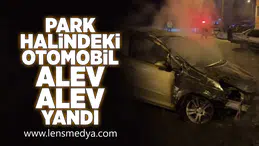 Park halindeki araç alev alev yandı!