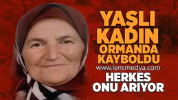 Yaşlı kadın ormanda kayboldu!