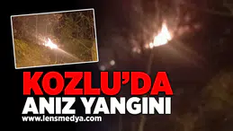 Kozlu'da anız yangını!