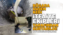 Rögara düşen kedi kurtarıldı!