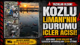 Kozlu Limanı'nın hali içler acısı!