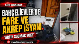 BAHÇELİEVLER’DE FARE VE AKREP İSYANI: “ARTIK SUSMAK YOK!”