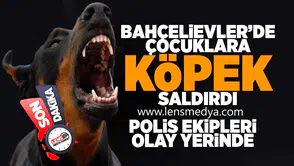 Bahçelievler'de çocuklara köpek saldırısı!