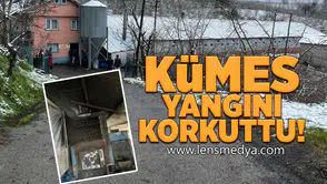 Kümes yangını korkuttu!
