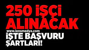250 işçi alınacak işte başvuru şartları!