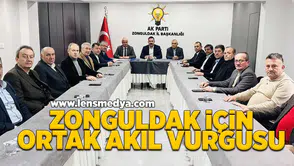 Zonguldak için ortak akıl vurgusu!