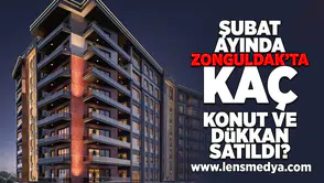 Şubat ayında Zonguldak'ta kaç konut ve dükkan satıldı?