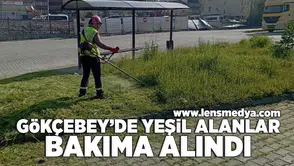 Gökçebey'de yeşil alanlar bakıma alındı