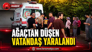DUT TOPLARKEN AĞAÇTAN DÜŞTÜ: AĞIR YARALANDI
