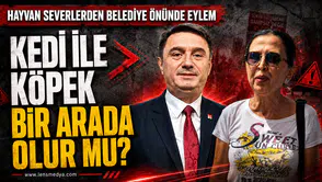 Hayvanseverlerden Zonguldak'ta eylem!