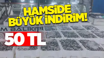 Hamsi Fiyatında Büyük İndirim!