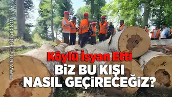 Köylü isyan etti: Biz bu kışı nasıl geçireceğiz?
