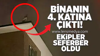 Binanın 4. katına çıktı: Ekipler seferber oldu!