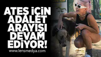 Ateş için adalet arayışı devam ediyor!