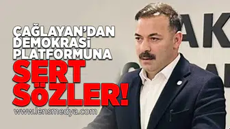 Çağlayan'dan demokrasi platformuna sert sözler!
