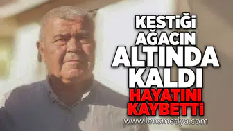 Kestiği ağacın altında kaldı... Hayatını kaybetti!
