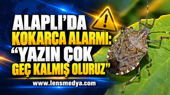 ALAPLI’DA KOKARCA ALARMI: “YAZIN ÇOK GEÇ KALMIŞ OLURUZ”
