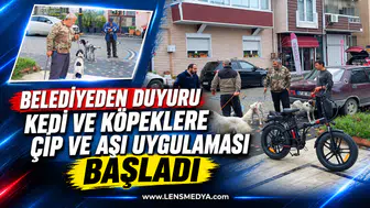 BELEDİYEDEN DUYURU: KEDİ VE KÖPEKLERE ÇİP VE AŞI UYGULAMASI BAŞLADI