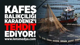 Kafer Balıkçılığı Karadeniz'i tehdit ediyor!