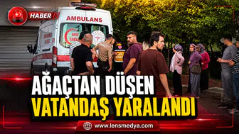 DUT TOPLARKEN AĞAÇTAN DÜŞTÜ: AĞIR YARALANDI