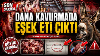 Dana kavurmada eşek eti çıktı!