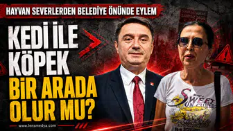 Hayvanseverlerden Zonguldak'ta eylem!