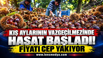 KESTANE HASADI BAŞLADI FİYATI CEP YAKIYOR