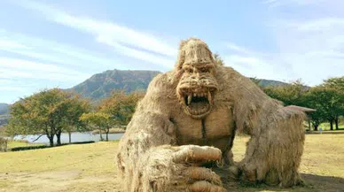 Geleceğin Yeni Kaynağı: Pirinç Samanından Elektrik Üretimi!