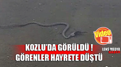 KOZLU'DA GÖRÜLDÜ!