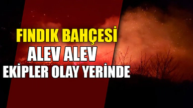 FINDIK BAHÇESİ ALEV ALEV