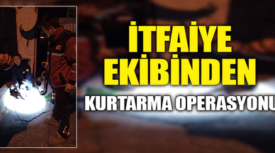 İTFAİYE EKİBİNDEN KURTARMA OPERASYONU