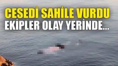 CESEDİ SAHİLE VURDU