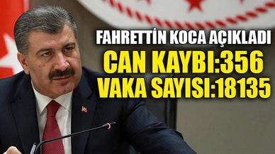 CAN KAYBI 356, VAKA SAYISI 18.135