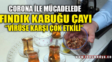 VİRÜSE KARŞI FINDIK KABUĞU ÇAYI