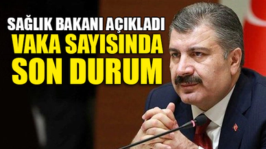 VAKA SAYISINDA SON DURUM