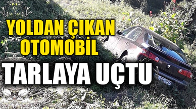 YOLDAN ÇIKAN OTOMOBİL TARLAYA UÇTU