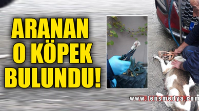 O KÖPEK BULUNDU!