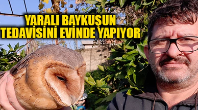 YARALI BAYKUŞUN TEDAVİSİNİ EVİNDE YAPIYOR