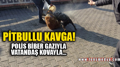 PİTBULLU KAVGA! POLİS BİBER GAZIYLA, VATANDAŞ KOVAYLA...