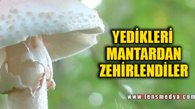 YEDİKLERİ MANTARDAN ZEHİRLENDİLER