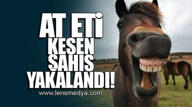 AT ETİ KESEN ŞAHIS YAKALANDI!