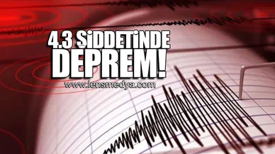 4.3 ŞİDDETİN DEPREM
