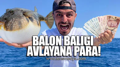BALON BALIĞI AVLAYANA PARA!